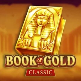 Slots logo of Book of Gold Classic from Playson at Stake Casino